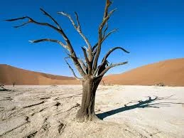 لباس مناسب برای انواع طبایع