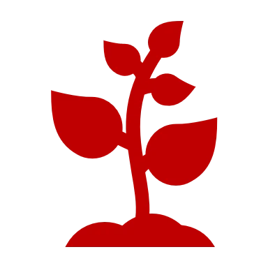 Plant with solid fill